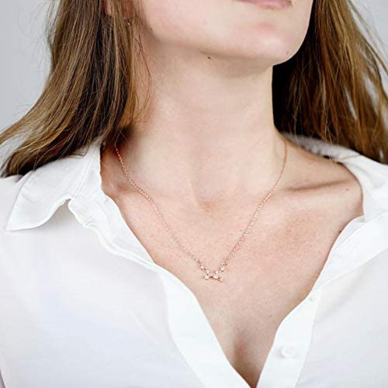 2PCS Zodiac Sign Necklace for Women Stocking Stuffers for Women 12 Constellation Necklace Cz Astrology Zodiac Gift
